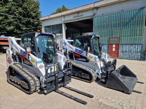 Bobcat005